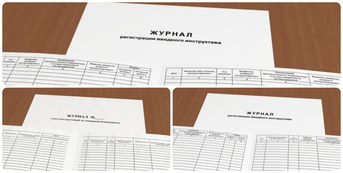 Вводный журнал по охране труда купить в Элисте